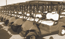 Golf Cart Rentals